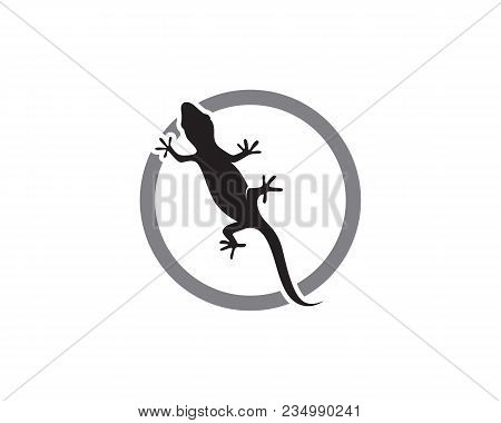 Lizard Chameleon Gecko Silhouette Black Vector 10