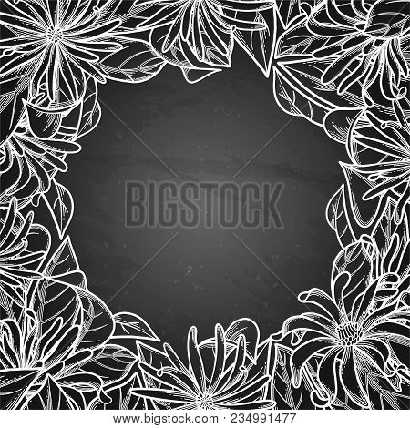 Graphic Star Anise. Vector Natural Design On The Chalkboard Background