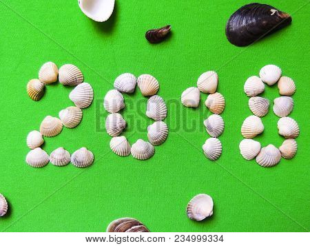 Year Laid Out Of Seashells On A Green Background. The Concept Of Travel, Tourism