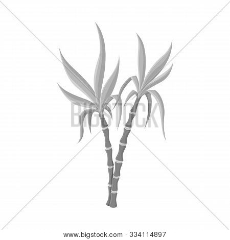 Vector Design Of Vegetable And Sugar Logo. Graphic Of Vegetable And Cane Vector Icon For Stock.