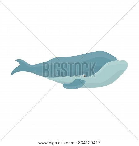 Whale Right Vector Icon.cartoon Vector Icon Isolated On White Background Whale Right.