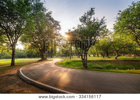 Public Park Outdoor And Lawn Landscape At Sunset, Garden Midtown With Green Plant For Relaxation Pla