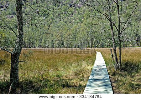 The Open Salt Marsh With A Woden Path In The Middle On The Benowie Walking Track In Ku-ring-gai Nati