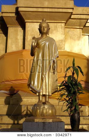 Golden Buddha