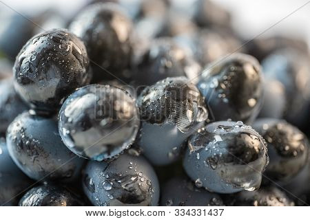 Fresh Grapes With Drops Of Water.fresh Grapes With Drops Of Water