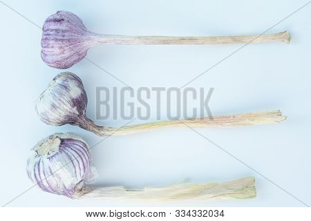 Large Garlic On A White Background.large Garlic On A White Background