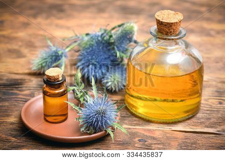 Feverweed Eryngium Plant Essential Oil And Fruits On Wooden Table. Herbal Medicine.