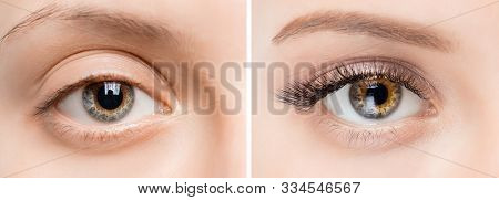 Eyelash Extensionl Procedure Before And After. Beautiful Woman With Long Lash In Beauty Salon
