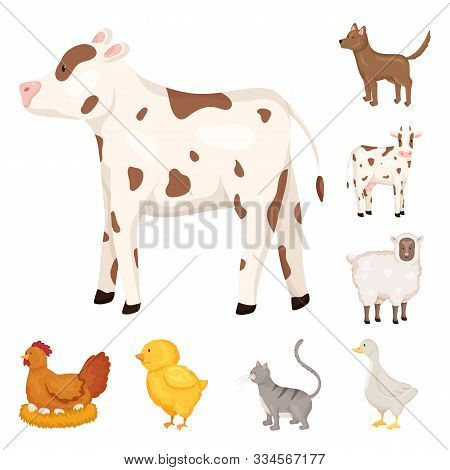 Vector Illustration Of Farm And Food Icon. Collection Of Farm And Countryside Vector Icon For Stock.