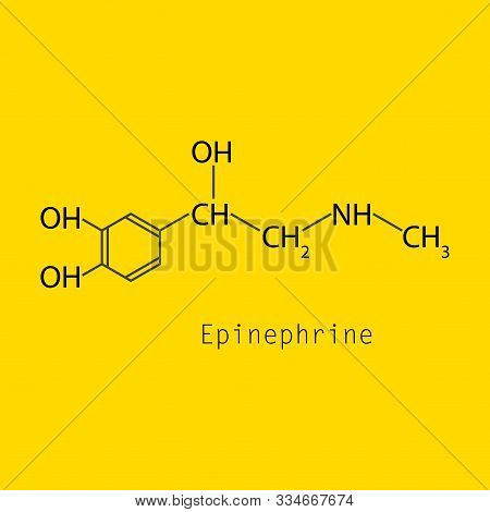 Human Hormone Epinephrine Thin Flat Line Icon Template For Website Or Banner Infographic, Medical Ve