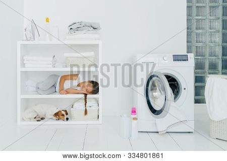 Tired Female Child Rests On Console Shelf Together With Pet, Does Washing At Home, Sleeps In Laundry