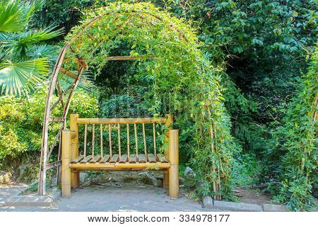Beautiful View Of Green Plants In The Park Flowers Arbors And Green Palm Trees. Beautiful Green Natu