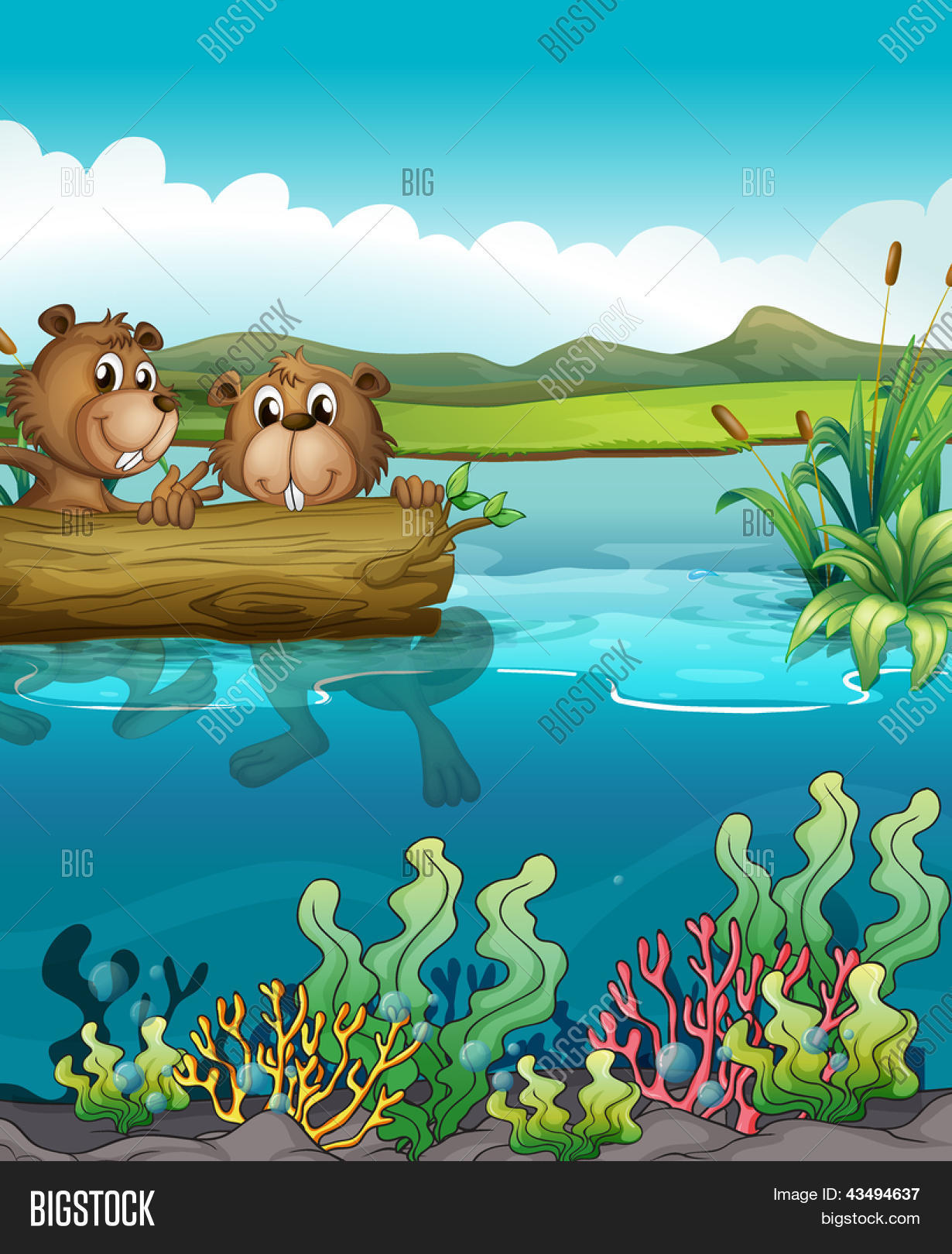 Illustration Two Image & Photo (Free Trial) | Bigstock
