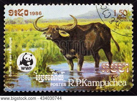 People's Republic Of Kampuchea - Cambodia - Circa 1986: Postage Stamp 'asian Water Buffalo Or Bubalu