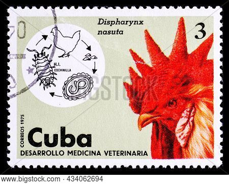 Cuba - Circa 1975: A Stamp Printed By Cuba Shows The Image Of The Rooster In The Theme Of Veterinary