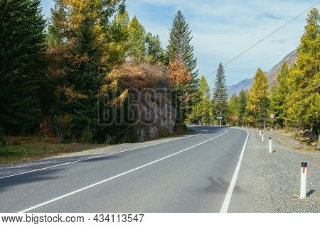Colorful Autumn Landscape With Larches With Yellow Branches Along Mountain Highway. Coniferous Fores