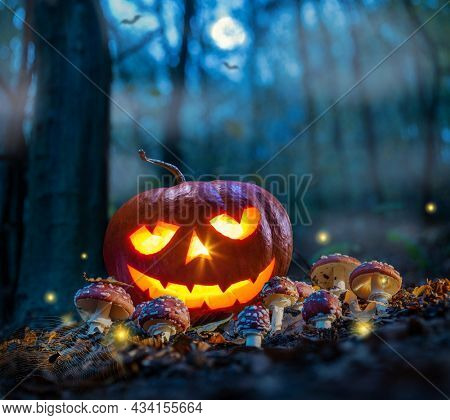 Halloween theme with glowing pumpkin in dark autumn forest with amanita and moon. Halloween horror background.