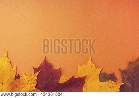 Frame Made Of Different Dried Maple Leaves On An Orange Background, Flat, Flat, Top View, Copy Space