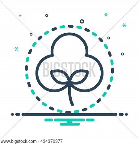 Mix Icon For Soft Bland Pulpy Waxen Cotton Fabric Natural Organic Cotton-flower Blossom
