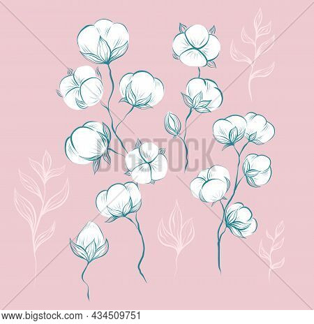 Delicate Natural Set Of Sketches Of Cotton Plant And Stems With Foliage On A Pink Background. Vector