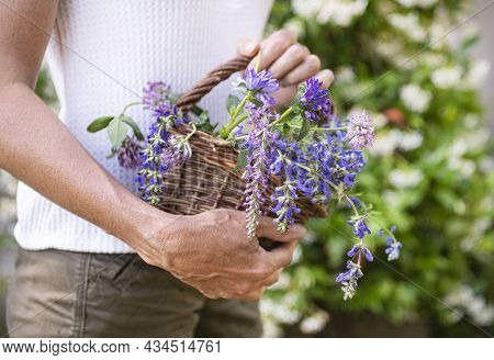 Wild Flower In Basket For Naturopathy And Botany