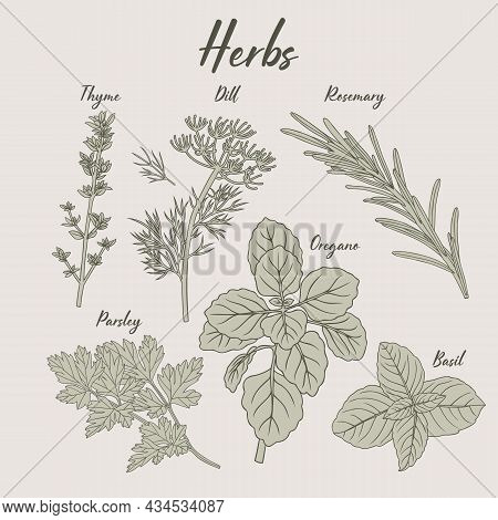 Herbs