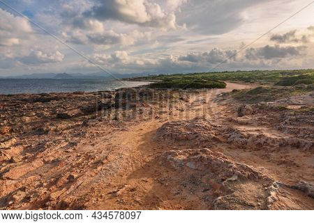 Seacoast near Can Picafort beach in sunset time, Mallorca, Balearic islands, Spain