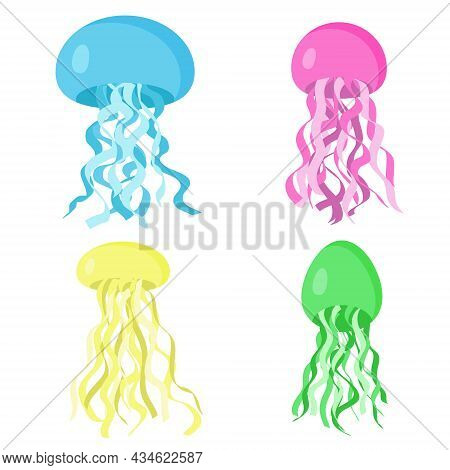 Set Of Cute Colorful Jellyfishes, Vector Illustration. Underwater Animal, Swimming Marine Creatures.