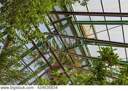 Glass And Metal Roof In A Tropical Greenhouse