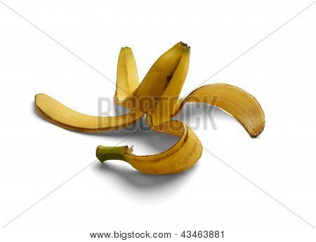 Banana Peel