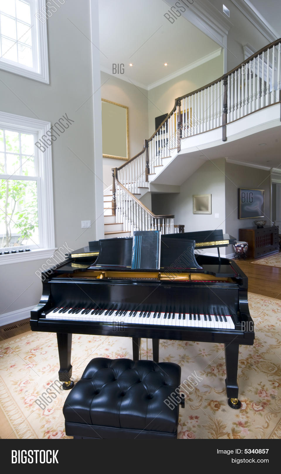Grand Piano Living Image & Photo (Free Trial) Bigstock