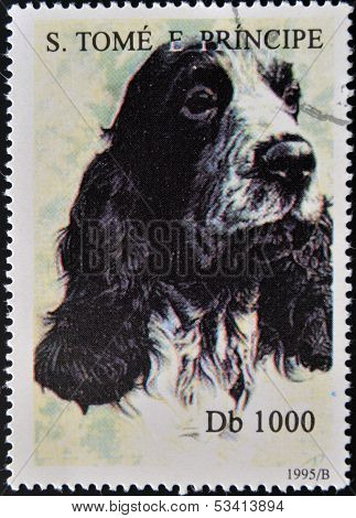 SAO TOME AND PRINCIPE - CIRCA 1995: A stamp printed in Sao Tome shows a dog