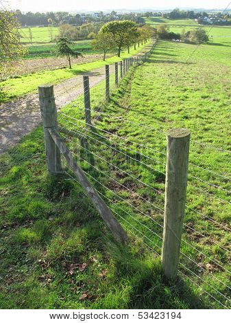 Fence And Tree Lined Track Landscape