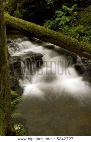 Scenic Gorge Trail