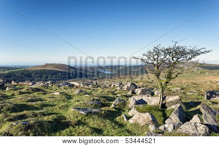 Dartmoor
