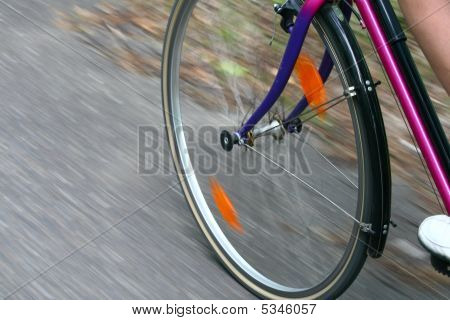 Bicycle Ride