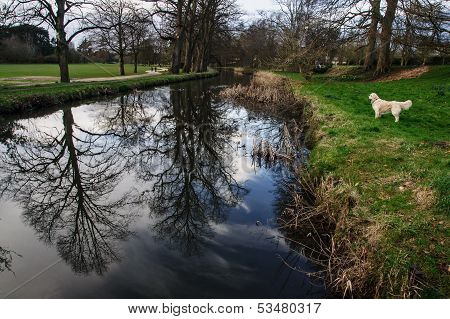 Bute Park