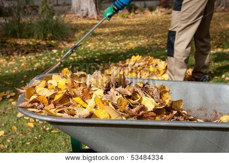 Work In The Garden