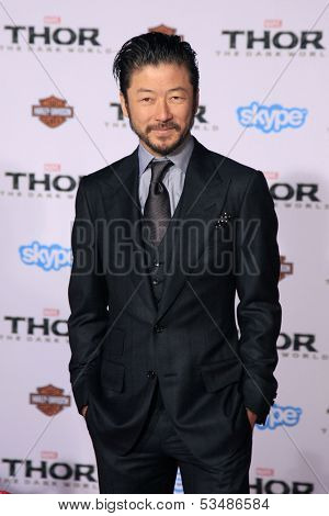 LOS ANGELES - NOV 4:  Tadanobu Asano at the Thor: The Dark World' Premiere at El Capitan Theater on November 4, 2013 in Los Angeles, CA