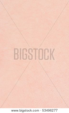 Human Skin Texture
