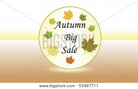 Autumn big sale
