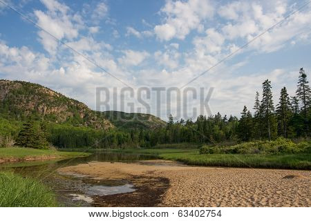 Mountain Stream