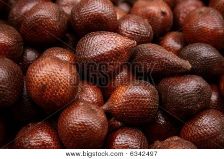 Zalacca palm