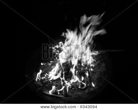 Black and White Fire