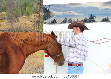 Horse Grooming