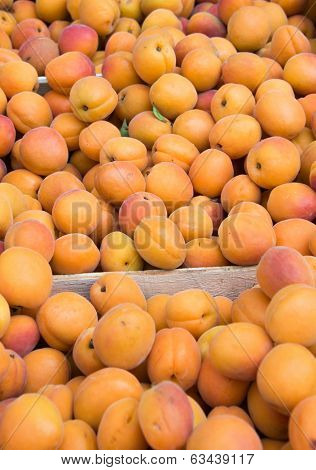 Apricots on sale as summer fruit