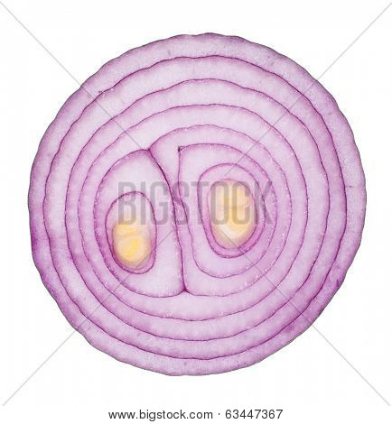 Sliced red onion. Macro