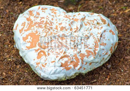 Heart Made ??of  Stone