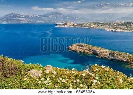 The Citadel Of Calvi With Maquis In Foreground And Snow Capped Mountains In The Distance.