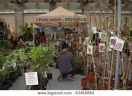 Plant Stall